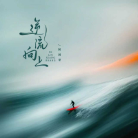 逆流向上 (DJ阿尼版) (Single)