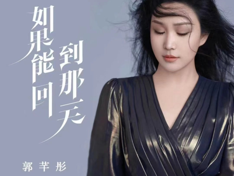 如果能回到那一天 (Dj沈念版) (Single)