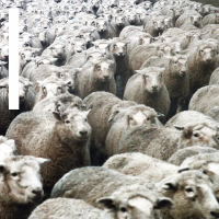 LSYB (Remixes, Vol. 1) (EP)