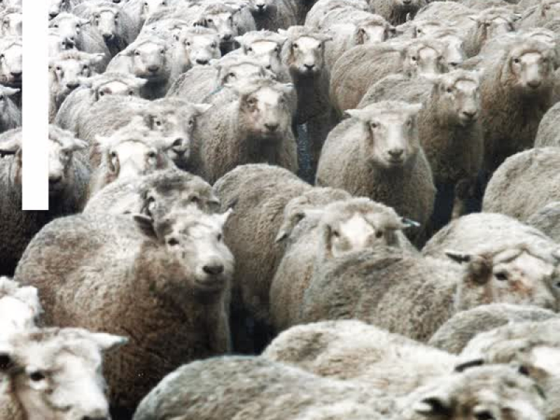 LSYB (Remixes, Vol. 1) (EP)