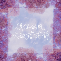 想你的风吹散落花前 (Single)