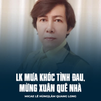 LK Mưa Khóc Tình Đau, Mừng Xuân Quê Nhà (Single)