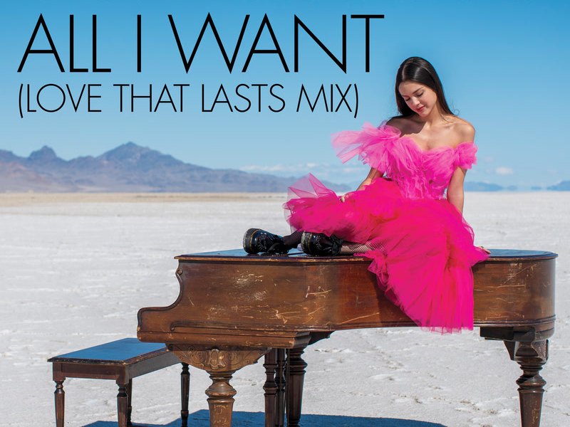 All I Want (Love That Lasts Mix) (Single)