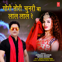 Gori Tori Chunari Ba Laal Laal Re (Single)