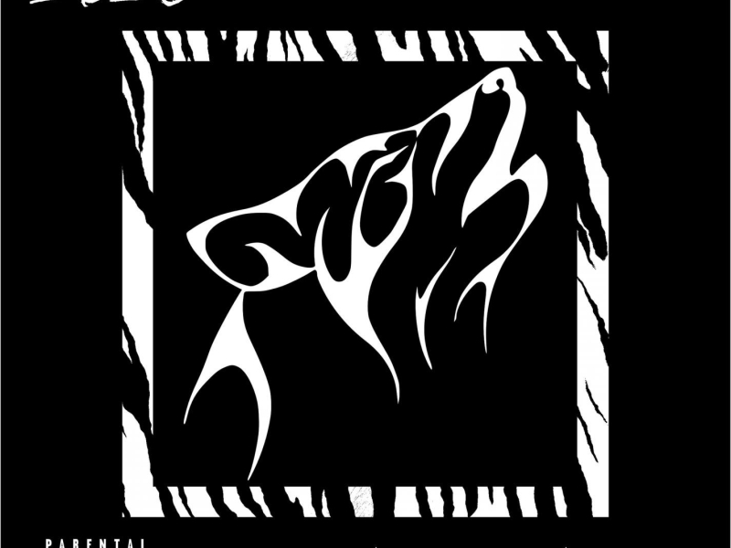 Schwarze Schecks (Single)