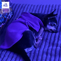 Rest Easy (For Gigi) (EP)