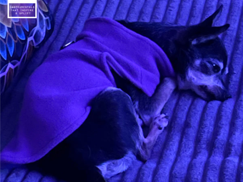 Rest Easy (For Gigi) (EP)