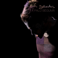 Palu bēgumā (Single)