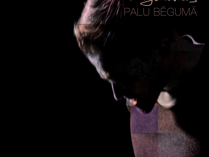 Palu bēgumā (Single)