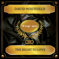 The Right To Love (UK Chart Top 40 - No. 30) (Single)