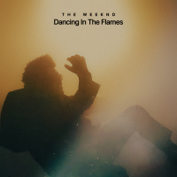 Dancing In The Flames (Single)