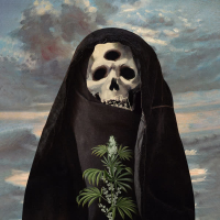 No Time to Waste (Single)