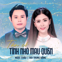 Tân Cổ Tình Nhỏ Mau Quên (Single)