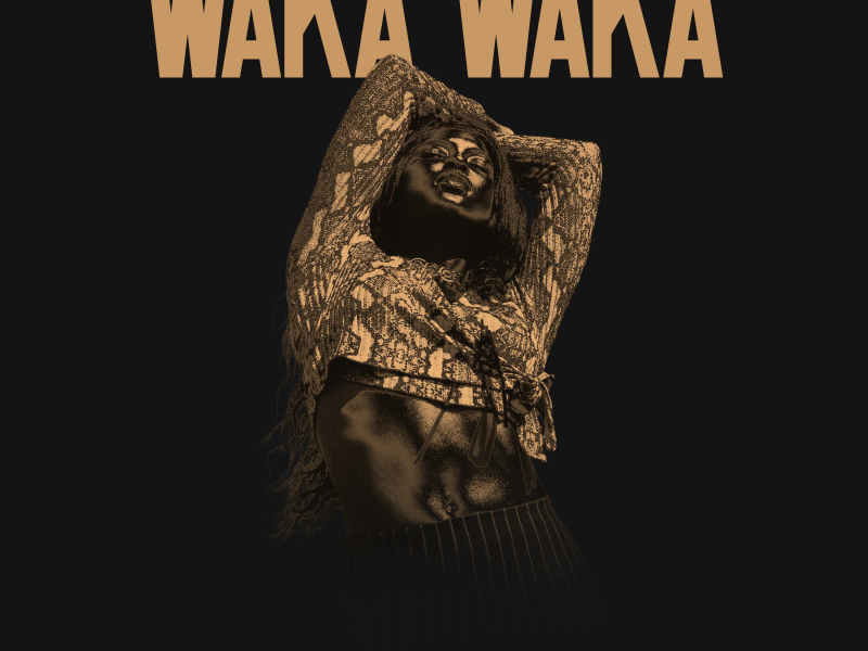 Waka Waka (Single)