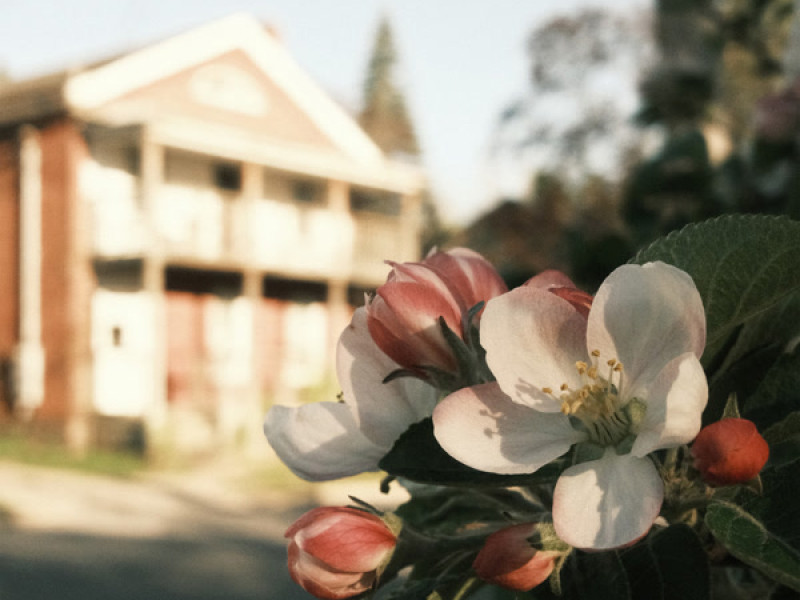 Stepping Stones (EP)