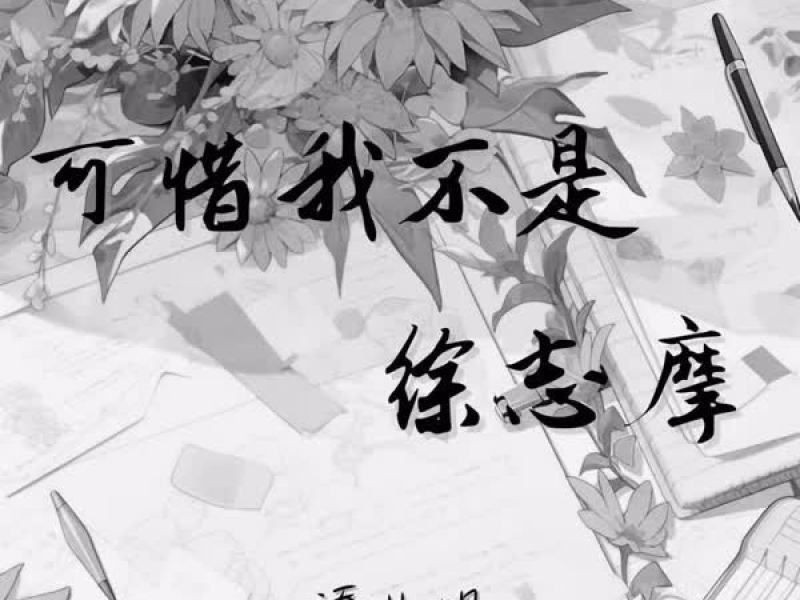 可惜我不是徐志摩 (Single)