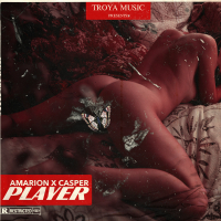 Player (Single)