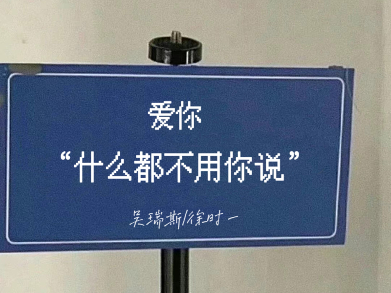 爱你 什么都不用你说 (Single)