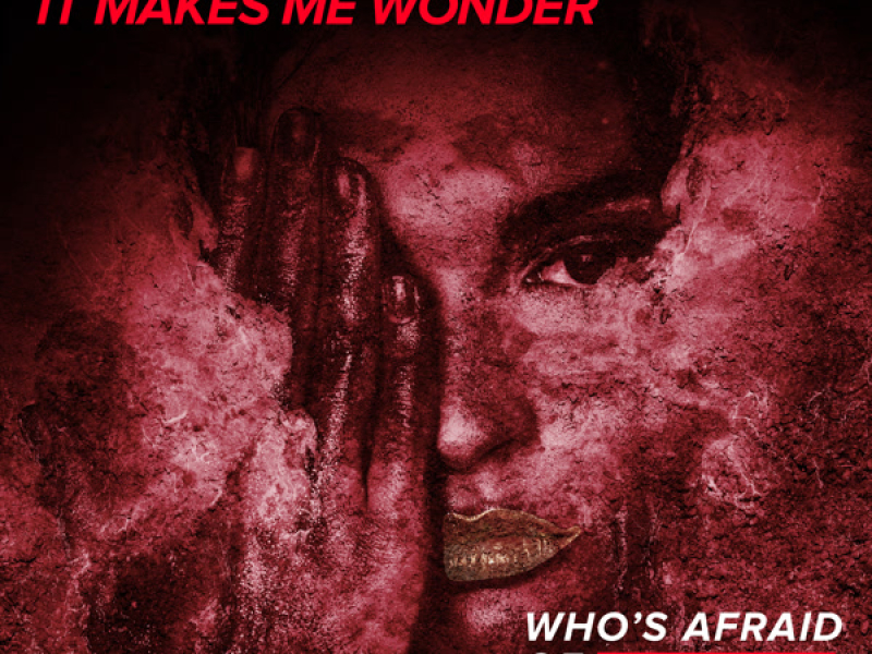 It Makes Me Wonder (Single)