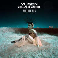 Picture Box (Single)