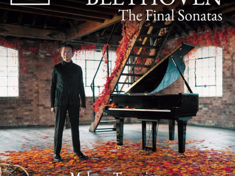 Beethoven: The Final Sonatas