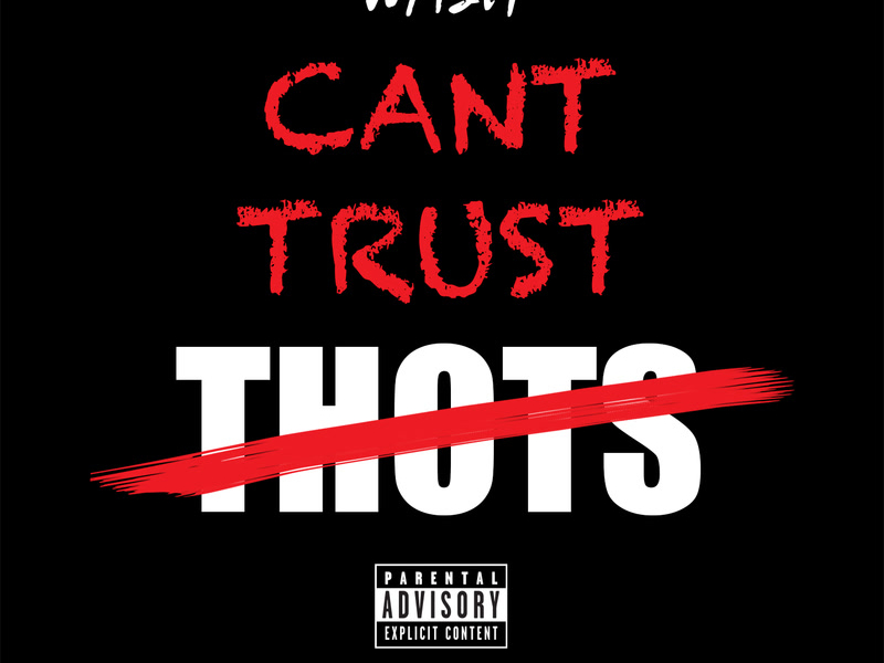 Can't Trust Thots (Single)