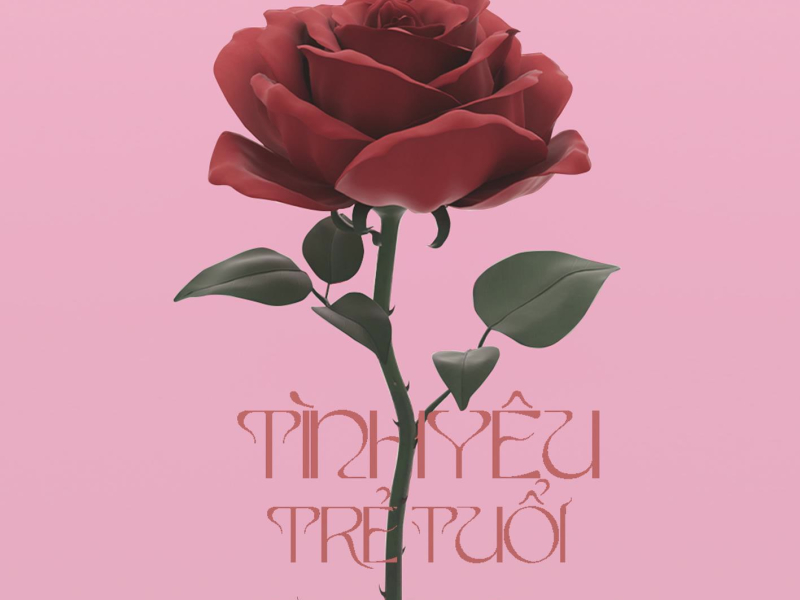 Tình Yêu Trẻ Tuổi (Remake by Boyzed) (Bonus Track) (Single)