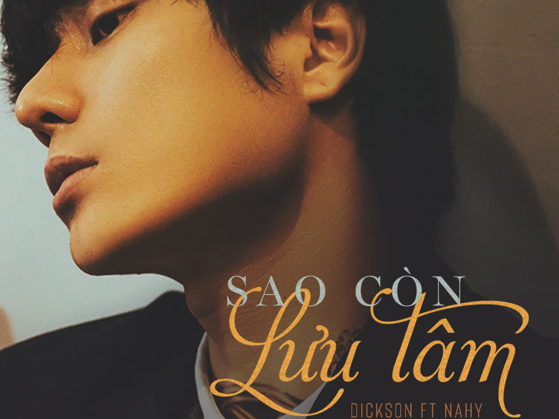 Sao Còn Lưu Tâm (Why Still Bother) (Single)