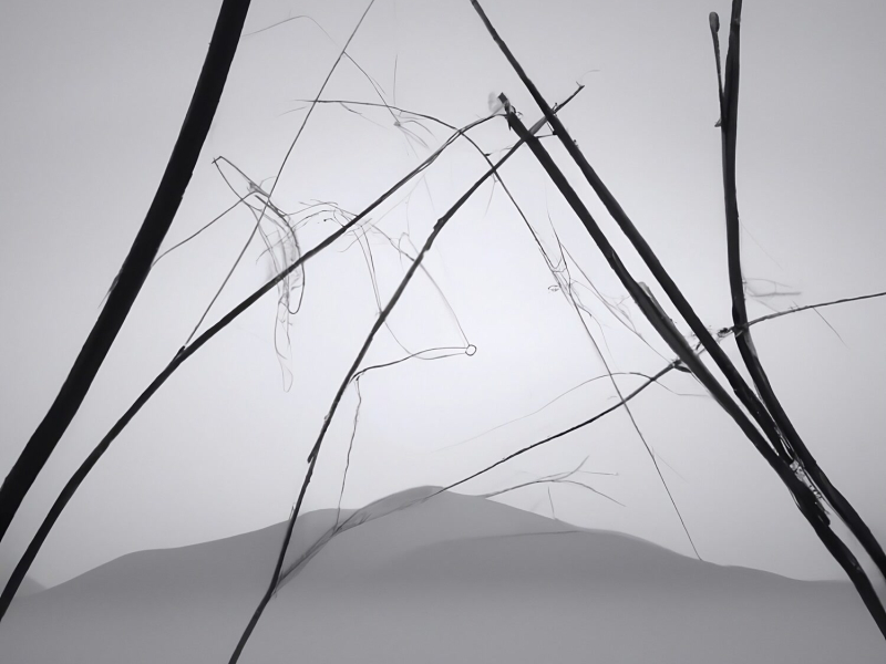 The Space Between Us