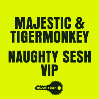 Naughty Sesh (VIP) (Single)