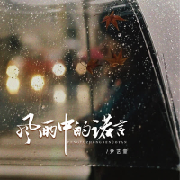 风雨中的诺言 (DJ京仔版) (EP)