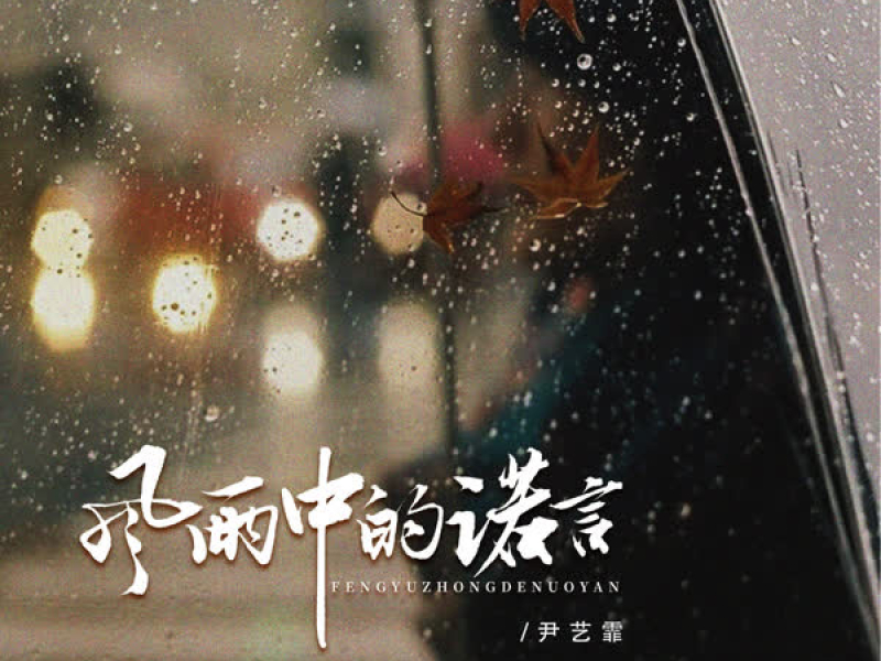 风雨中的诺言 (DJ京仔版) (EP)