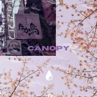 Canopy (Single)