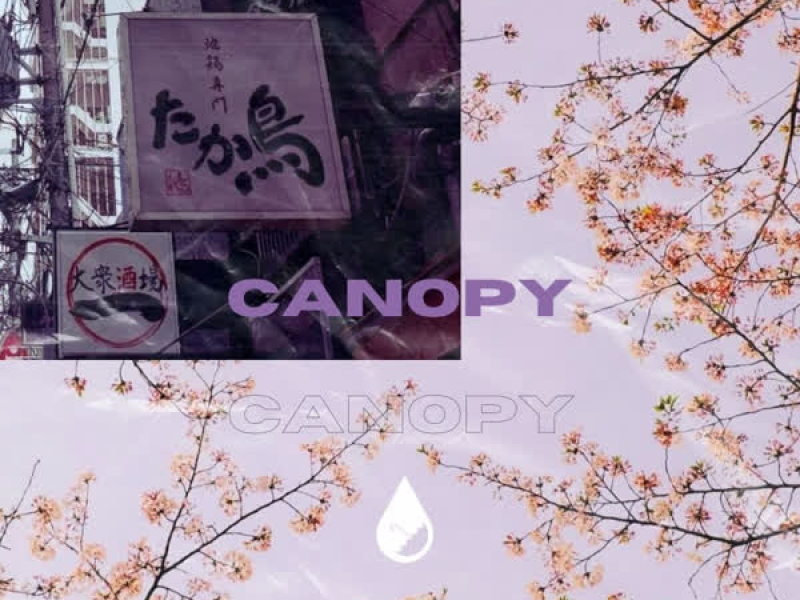 Canopy (Single)