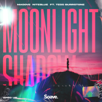 Moonlight Shadow - Sped Up (Single)