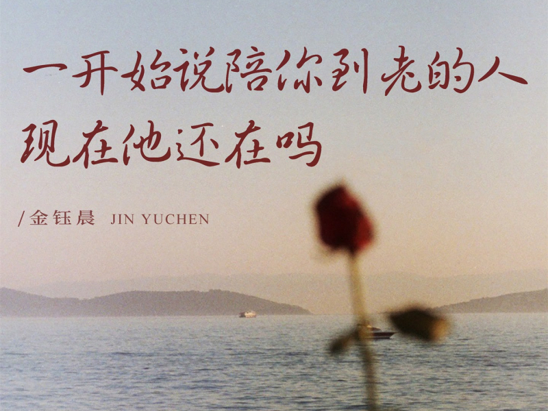 一开始说陪你到老的人现在他还在吗 (DJ版) (Single)