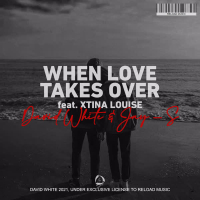 When Love Takes Over (Single)