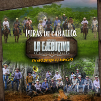Puras De Caballos En Vivo Desde El Rancho (Single)