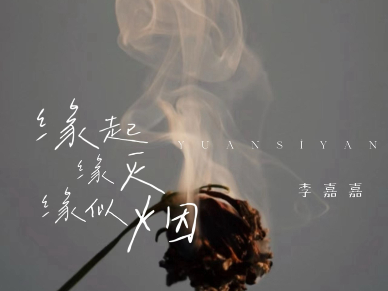 缘起缘灭缘似烟 (越南鼓版) (Single)