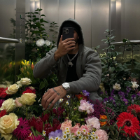 Nicht perfekt (Single)