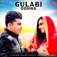 Gulabi Odhna (Single)
