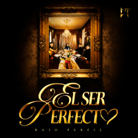 Ser Perfecto (Single)