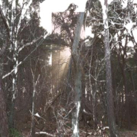 Fra Evighed Til Evighed (Single)