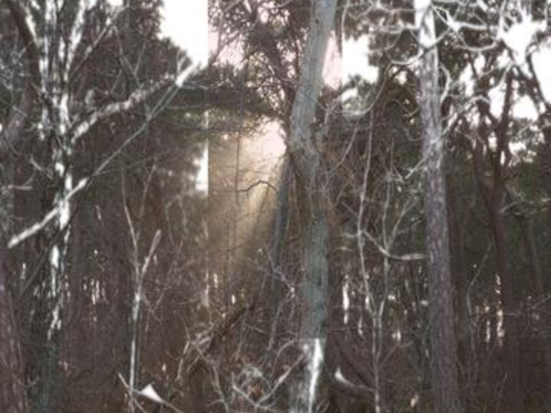 Fra Evighed Til Evighed (Single)