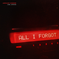 All I Forgot (Single)