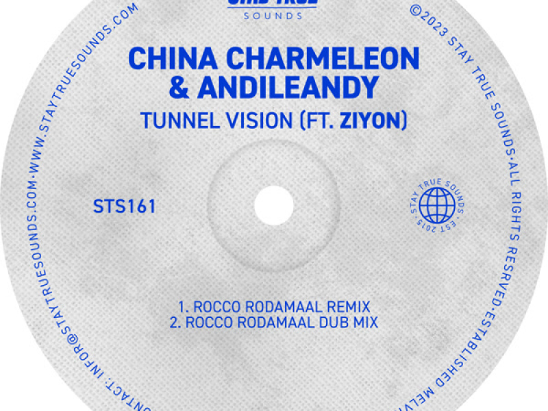 Tunnel Vision (Rocco Rodamaal Remixes) (Single)