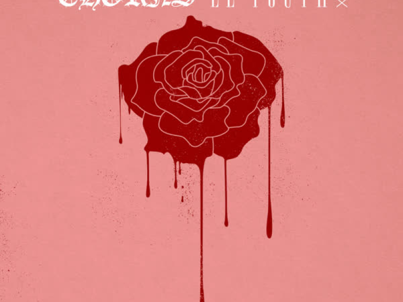 Thorns (Le Youth Remix) (Single)