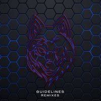 Guidelines (Remixes) (EP)