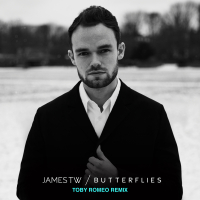 Butterflies (Toby Romeo Remix) (Single)