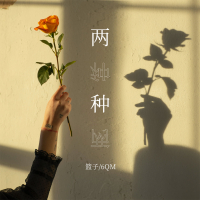 两种 (Single)